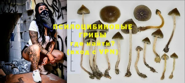 PSILOCYBIN Богородск