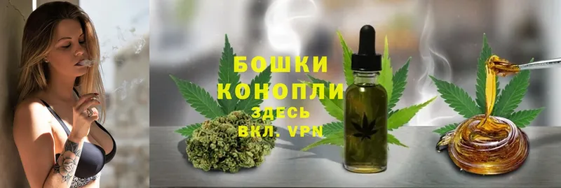 где купить наркоту  Цоци-Юрт  Бошки Шишки OG Kush 